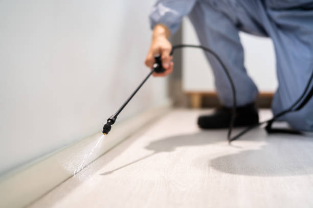 Flea Control Services in Lake Helen, FL