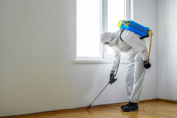 Pest Control Cost in Lake Helen, FL